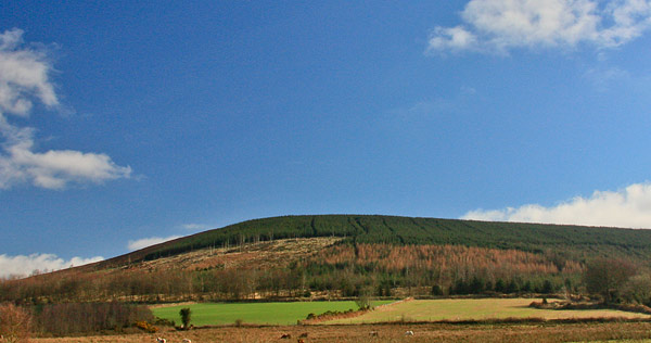             MountainViews.ie picture about Muskeagh Hill (Tinahely Hill)            
