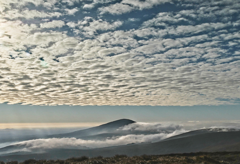             MountainViews.ie picture about Blackstairs Mountain (An Charraig Dhubh)            
