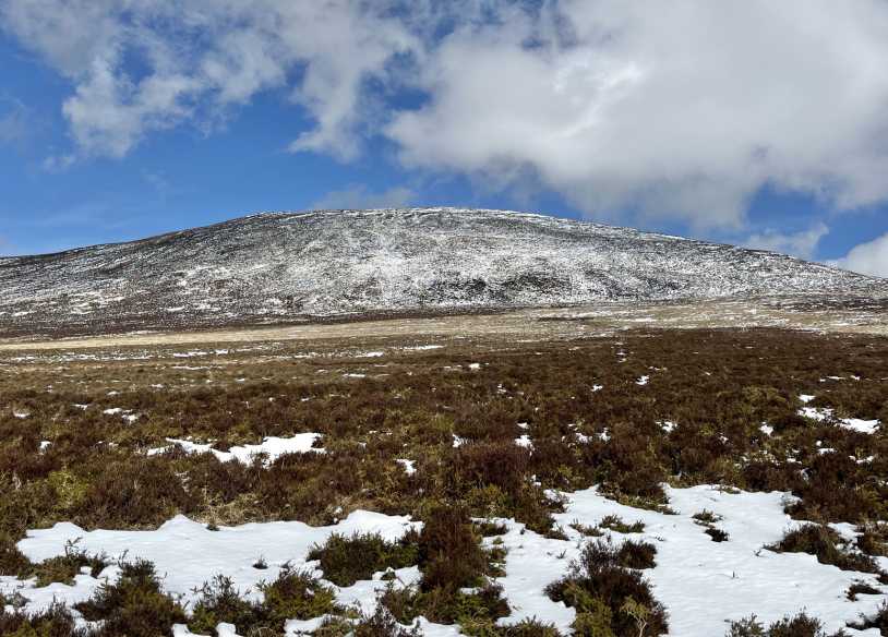             MountainViews.ie picture about Blackstairs Mountain (An Charraig Dhubh)            
