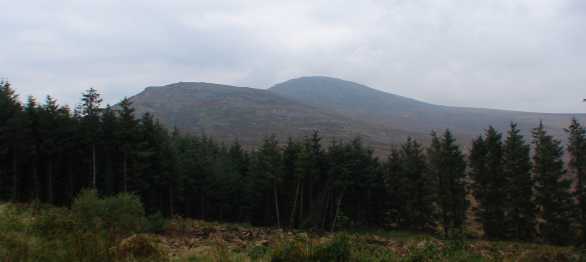             MountainViews.ie picture about Blackstairs Mountain (An Charraig Dhubh)            