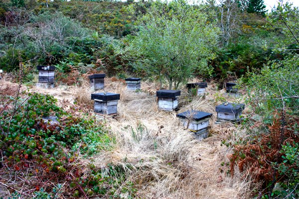             MountainViews.ie picture about Croughaun Hill (Cruachán Paorach)            