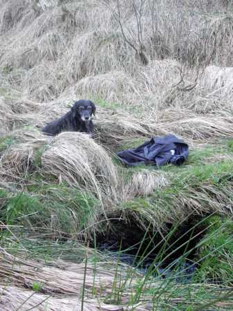             MountainViews.ie picture about Slieve Beagh (Sliabh Beatha)            