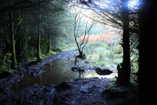             MountainViews.ie picture about Carnearny (Carn Éireann)            