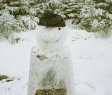             MountainViews.ie picture about Carnearny (Carn Éireann)            