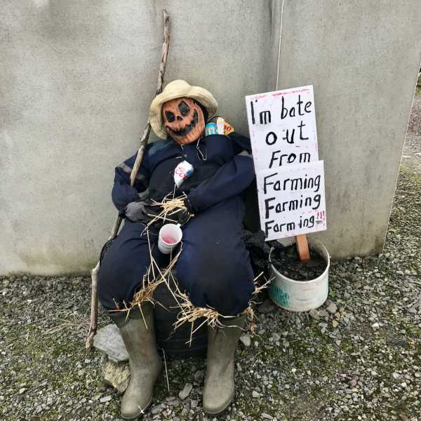             MountainViews.ie picture about Carrigfadda (An Charraig Fhada)            