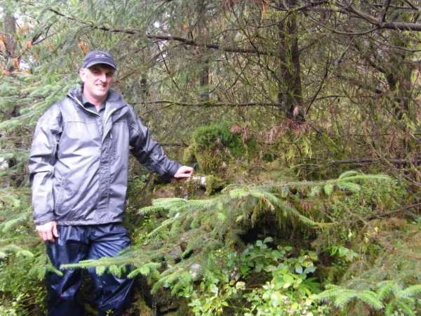             MountainViews.ie picture about Curlew Mountains (An Corrshliabh)            