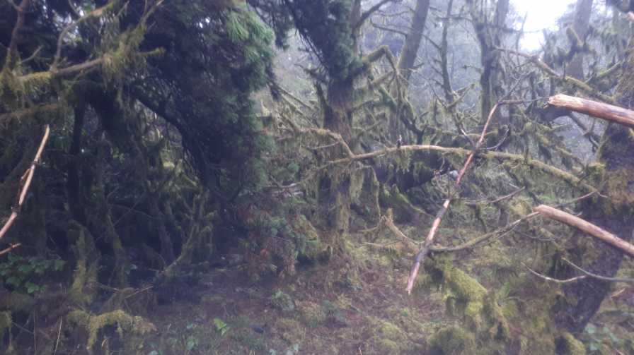             MountainViews.ie picture about Curlew Mountains (An Corrshliabh)            